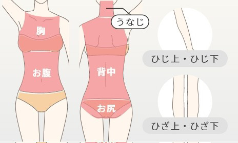 Lパーツプラン